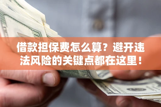 济南借款担保费怎么算？避开违法风险的关键点都在这里！