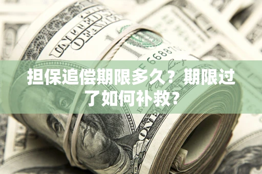 济南担保追偿期限多久？期限过了如何补救？
