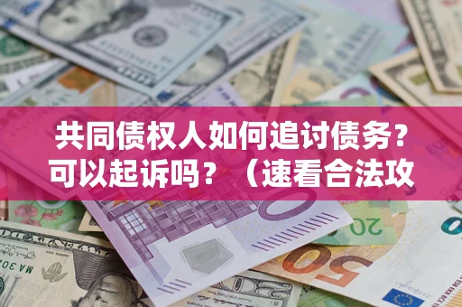 济南共同债权人如何追讨债务？可以起诉吗？（速看合法攻略）