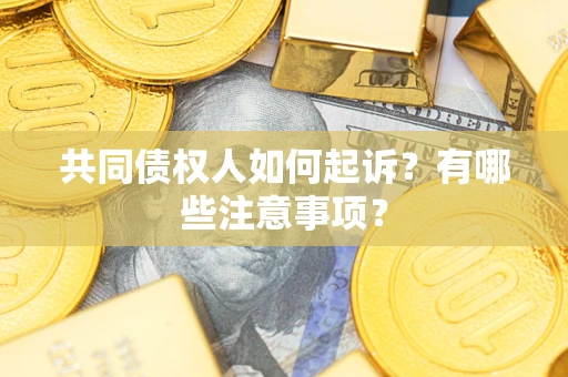 济南共同债权人如何起诉？有哪些注意事项？